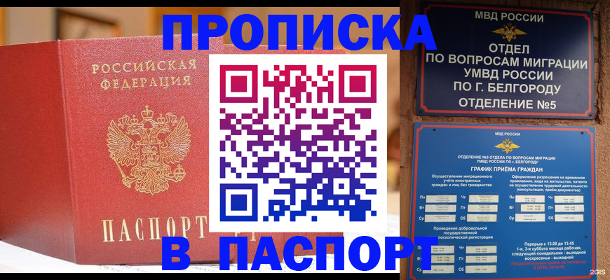 временная регистрация в квартире в Белокурихе